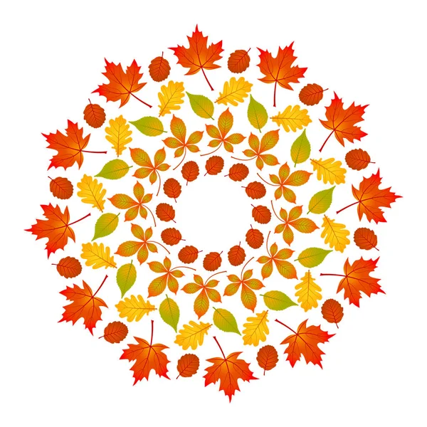 Векторная цветная круглая осенняя мандала с листьями клена, дуба, бука, конского каштана и ольхи - страница для взрослых — стоковый вектор