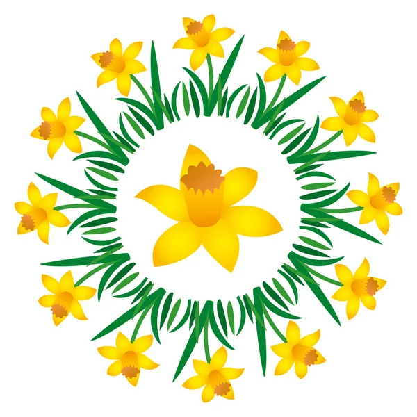 Vektorgrafik färgade cirkulär runda våren mandala med blomman narciss - vuxen målarbok bok — Stock vektor