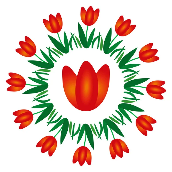 Vektorgrafik färgade cirkulär runda våren mandala med blomma tulpan - vuxen målarbok bok — Stock vektor