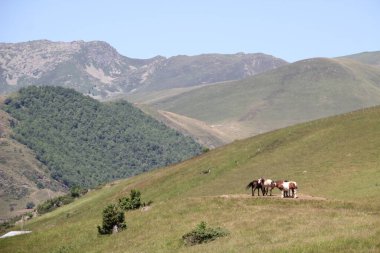 Fransız Pyrinees 'deki manzara