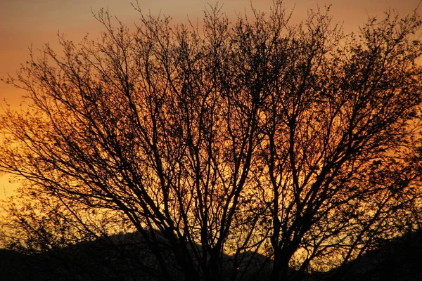 都会の公園での夕暮れ — ストック写真