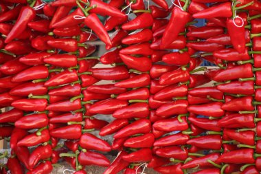 Espelette 'te asılı kırmızı biberler