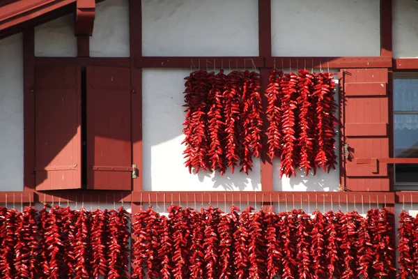 Poivrons Rouges Suspendus Espelette — Photo