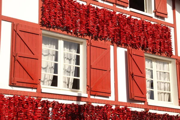 Espelette 'te asılı kırmızı biberler