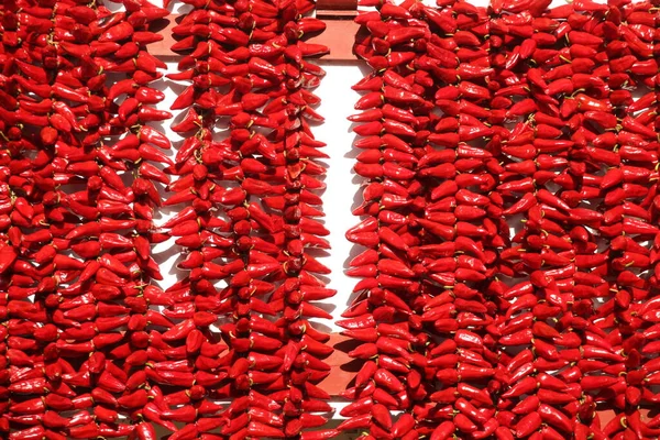 Espelette Asılı Kırmızı Biberler — Stok fotoğraf
