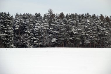Almanya 'nın kırsalında kış