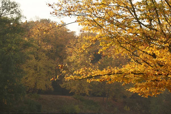 Landschaft Einem Herbsttag — Stockfoto