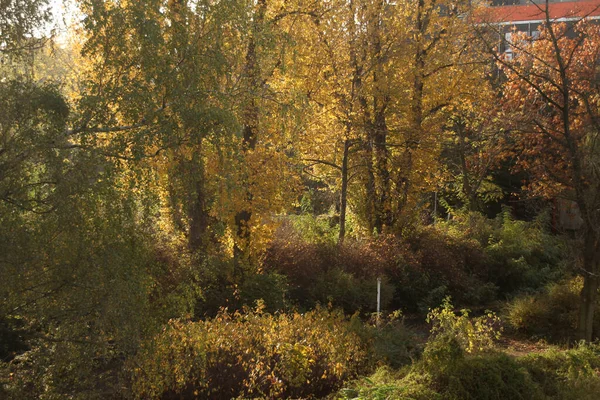 秋天里的乡村 — 图库照片