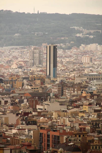 Panoramablick Von Einem Hügel Auf Barcelona — Stockfoto