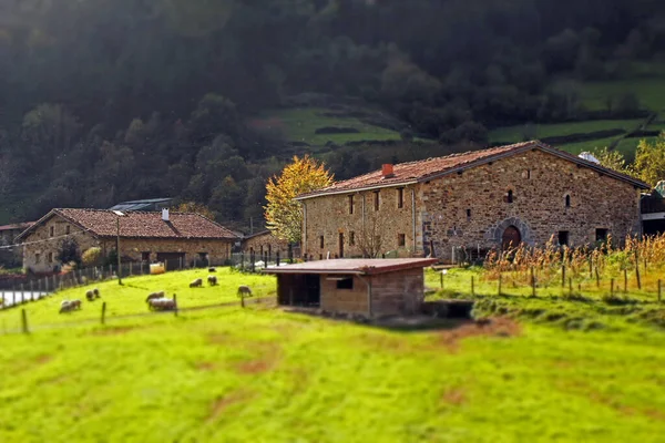 Casa Típica Vasca Campo — Foto de Stock