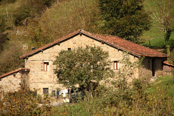 Casa Típica Basca Campo — Fotografia de Stock