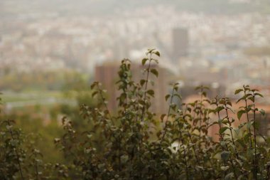 Şehir parkında sonbahar günü