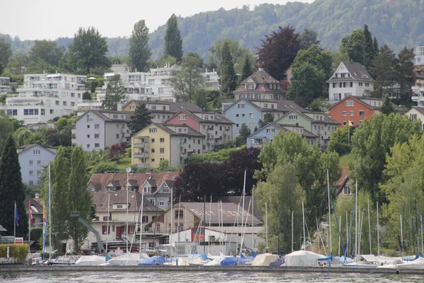 Szwajcarski Krajobraz Alpejski Przedmieściach Zurychu — Zdjęcie stockowe