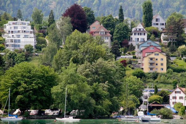 Szwajcarski Krajobraz Alpejski Przedmieściach Zurychu — Zdjęcie stockowe