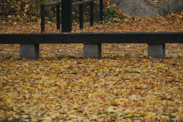 Widok Lasu Jesiennych Kolorach — Zdjęcie stockowe