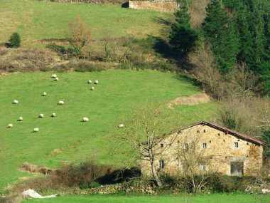Kırsaldaki tipik Bask evi.