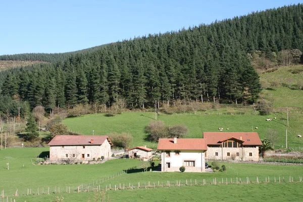 Casa Típica Basca Campo — Fotografia de Stock