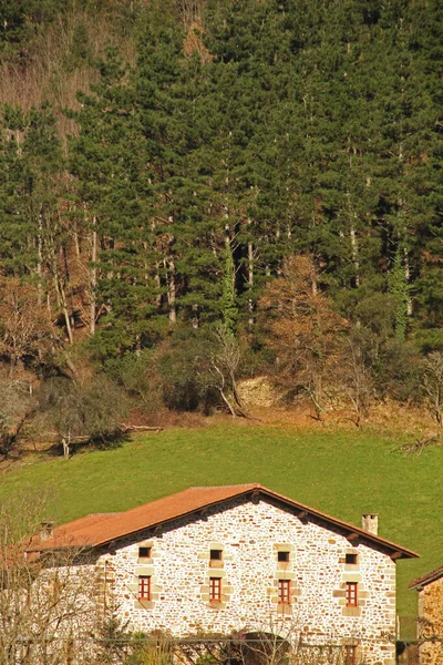 Typický Baskický Dům Venkově — Stock fotografie