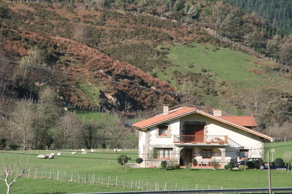 Casa Típica Basca Campo — Fotografia de Stock