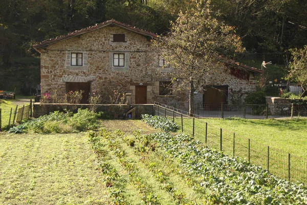 Typowy Baskijski Dom Wsi — Zdjęcie stockowe