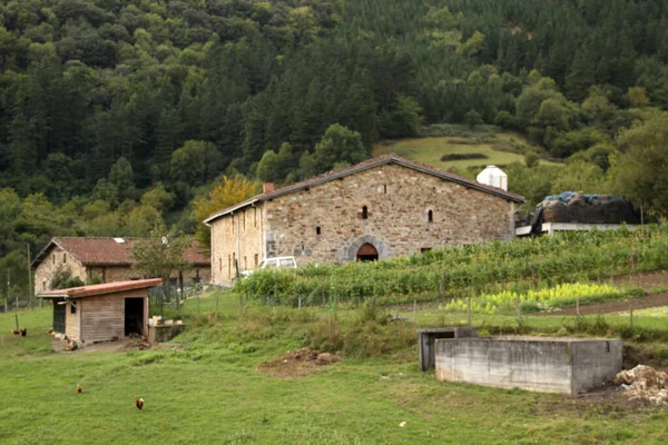 Casa Típica Basca Campo — Fotografia de Stock