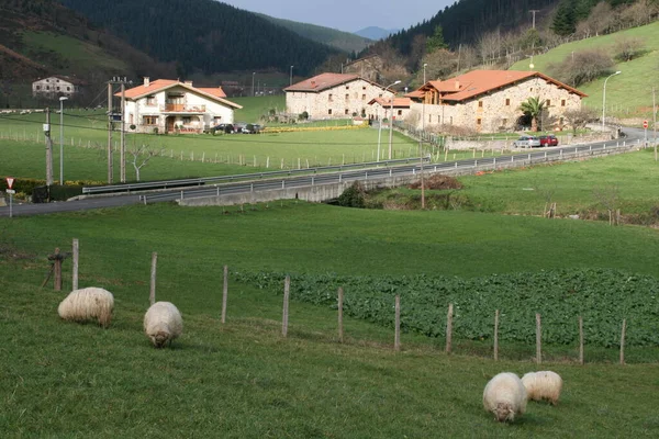 Casa Típica Vasca Campo — Foto de Stock