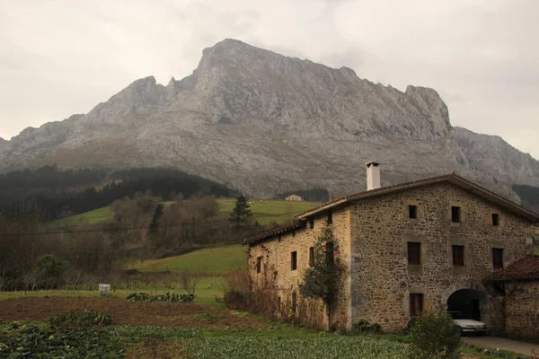 Casa Típica Basca Campo — Fotografia de Stock