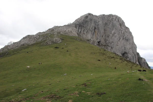 バスク地方の山 — ストック写真