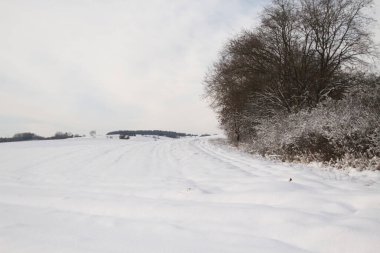 Kırsal alanda kar manzarası