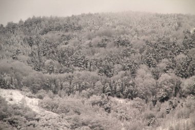Kırsal alanda kar manzarası