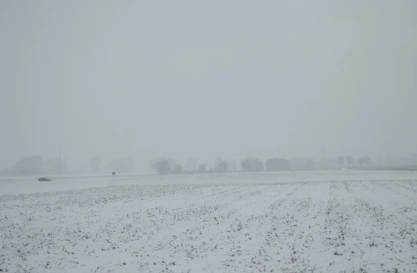 Sněhová Krajina Venkově — Stock fotografie