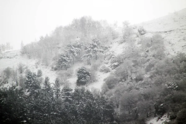 Paisagem Neve Campo — Fotografia de Stock