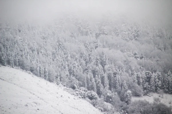 Paisagem Neve Campo — Fotografia de Stock