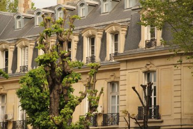 Paris şehir merkezinde bir bina.