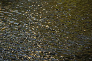 Bilbao Nehri manzarası