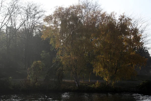 Widok Lasu Jesiennych Kolorach — Zdjęcie stockowe