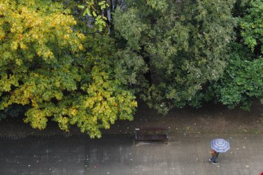 Bir sonbahar gününde şehir parkı