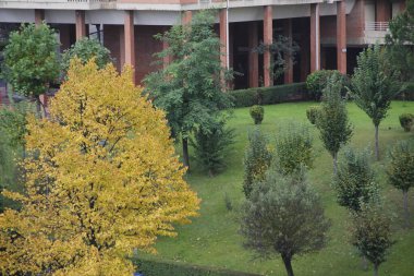 Bir sonbahar gününde şehir parkı
