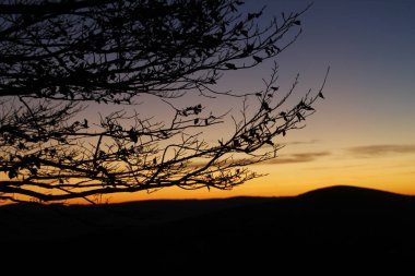 Bask Dağlarında Şafak