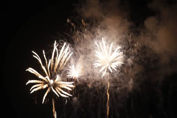 Ausstellung Von Feuerwerk Der Nacht — Stockfoto