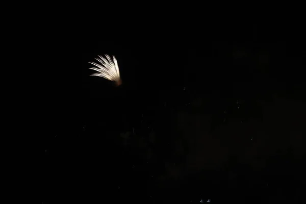 Виставка Феєрверків Вночі — стокове фото