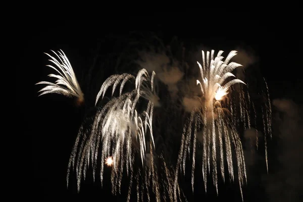 Spettacolo Fuochi Artificio Notte — Foto Stock