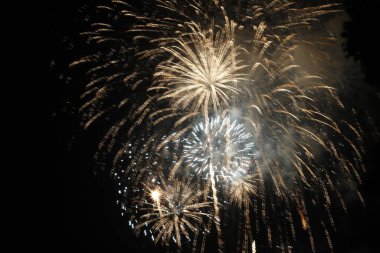 Şehir parkında sonbahar