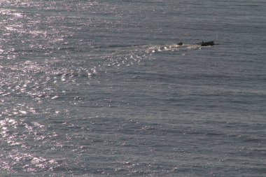 Kürekçiler denizde antrenman yapıyor.