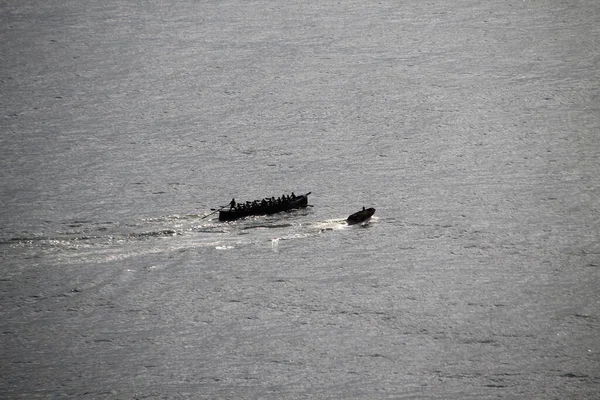 Formation Des Rameurs Mer — Photo