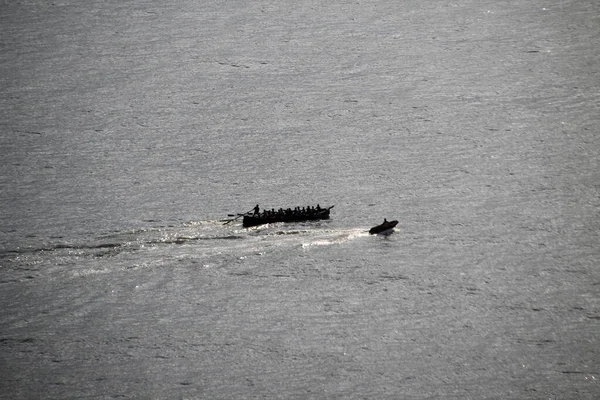 Formation Des Rameurs Mer — Photo