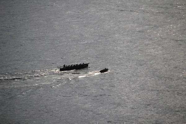 Formation Des Rameurs Mer — Photo