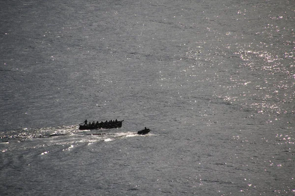 Formation Des Rameurs Mer — Photo