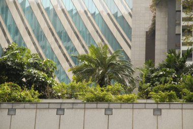 Singapur 'da şehir manzarası