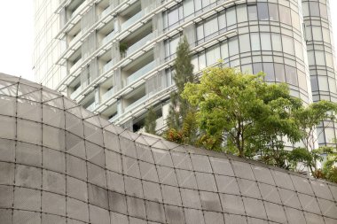 Singapur şehir merkezi manzarası